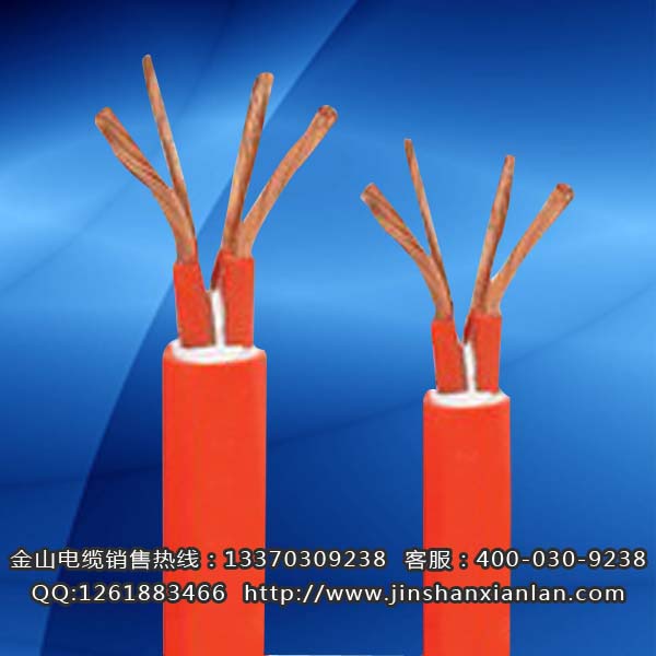 戶外升降機電纜FTCWYJ、FCTW...